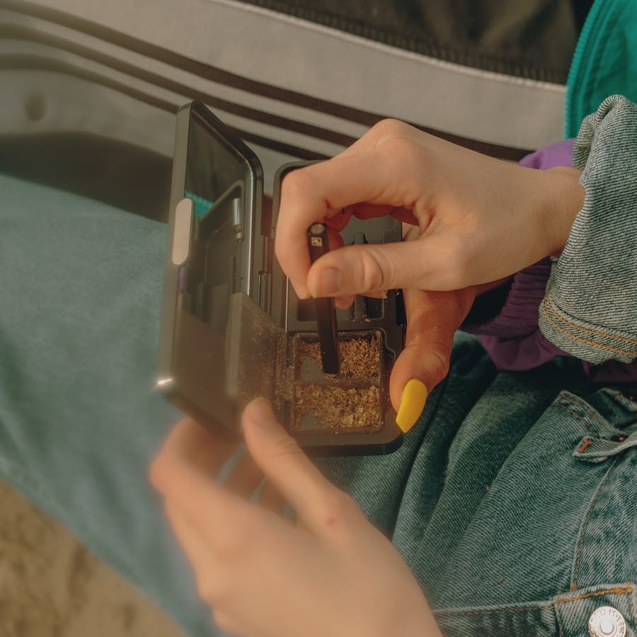 What Is The Strongest Sativa Strain? Plus Everything You Need To Know About All Sativa Strains