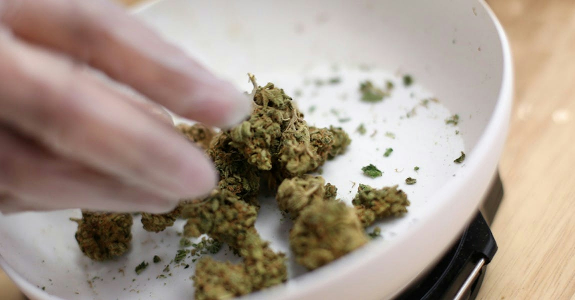 The Best Digital Scales For Weed In 2022 Herb