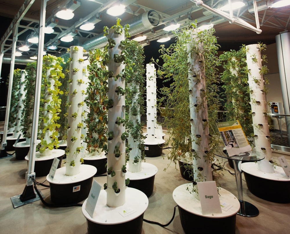 What is Aeroponics?