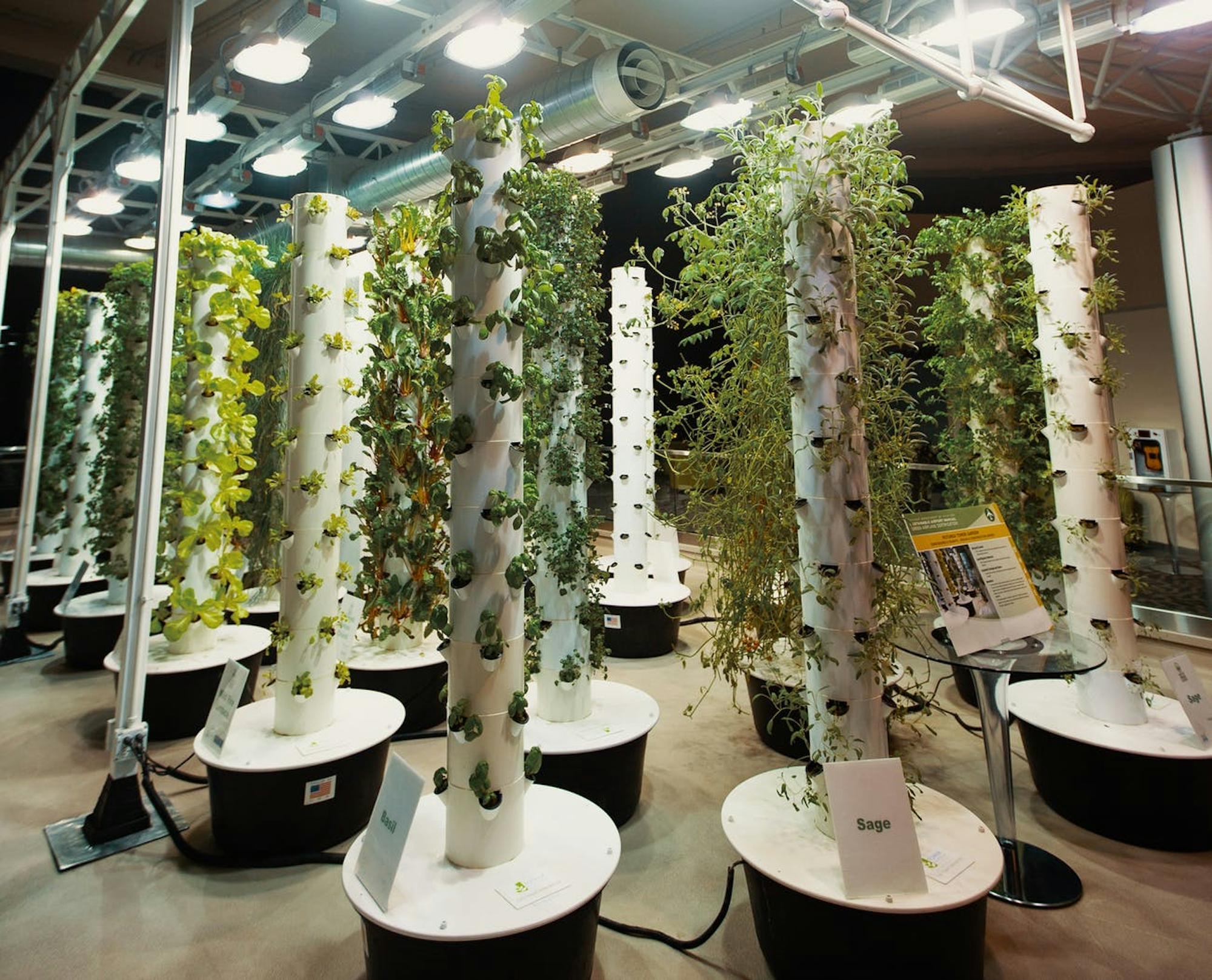 What is Aeroponics? | Herb