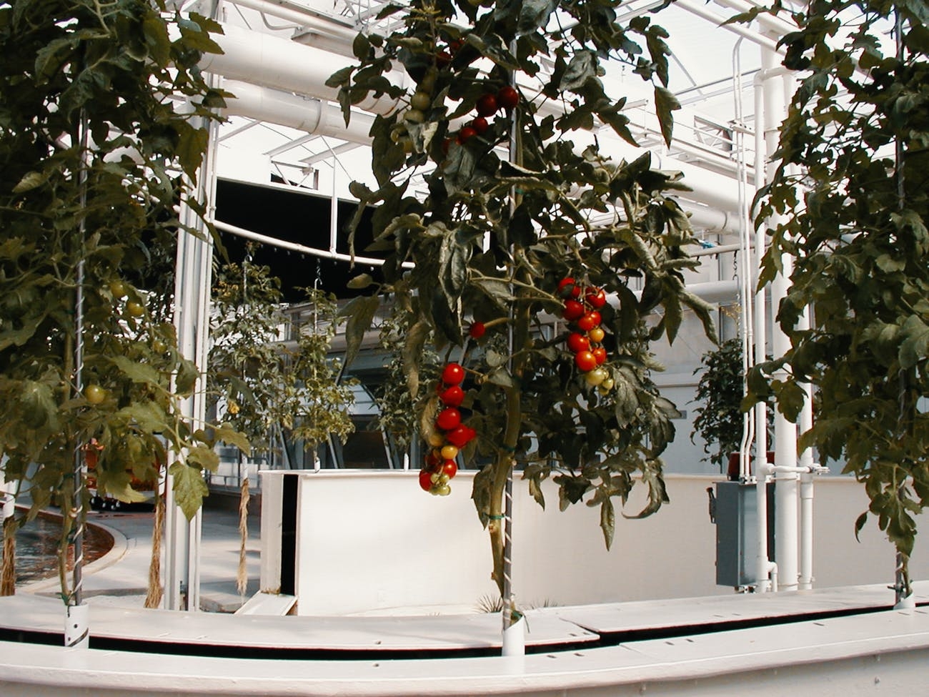 What is Aeroponics?