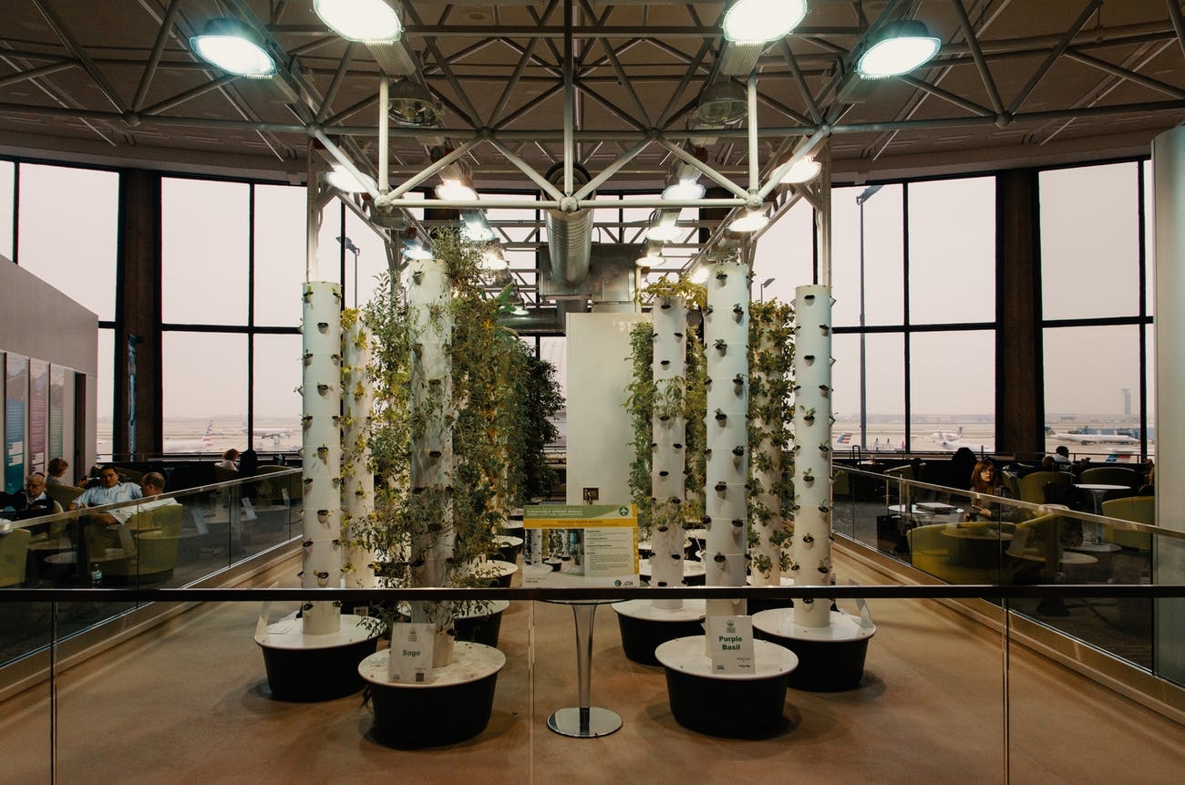 What is Aeroponics?