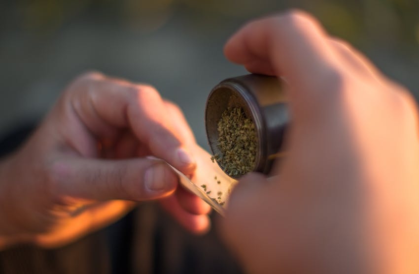 best rolling papers 2