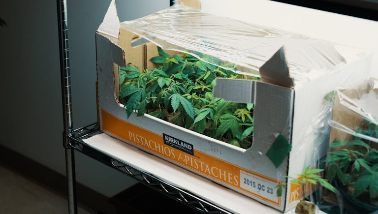 Kill_your_clones Mac OS Kill_your_clones Mac OS