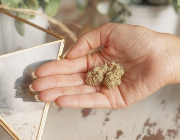 What Is The Entourage Effect? Everything You Need To Know