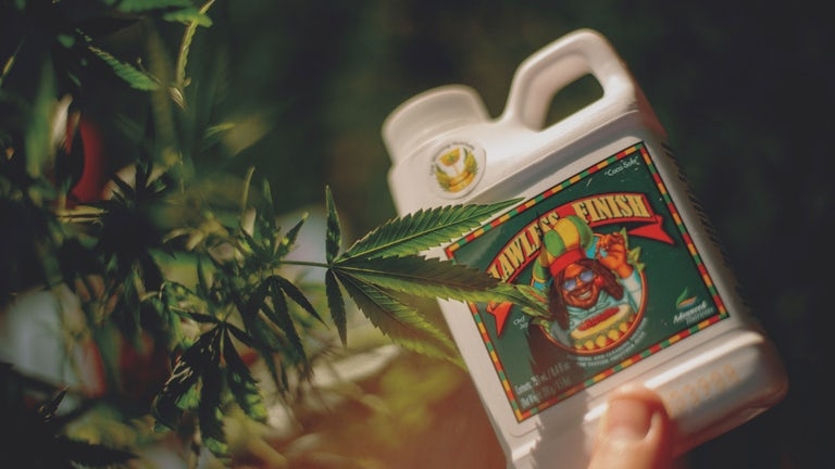 The Top 10 Best Marijuana Fertilizers On The Market