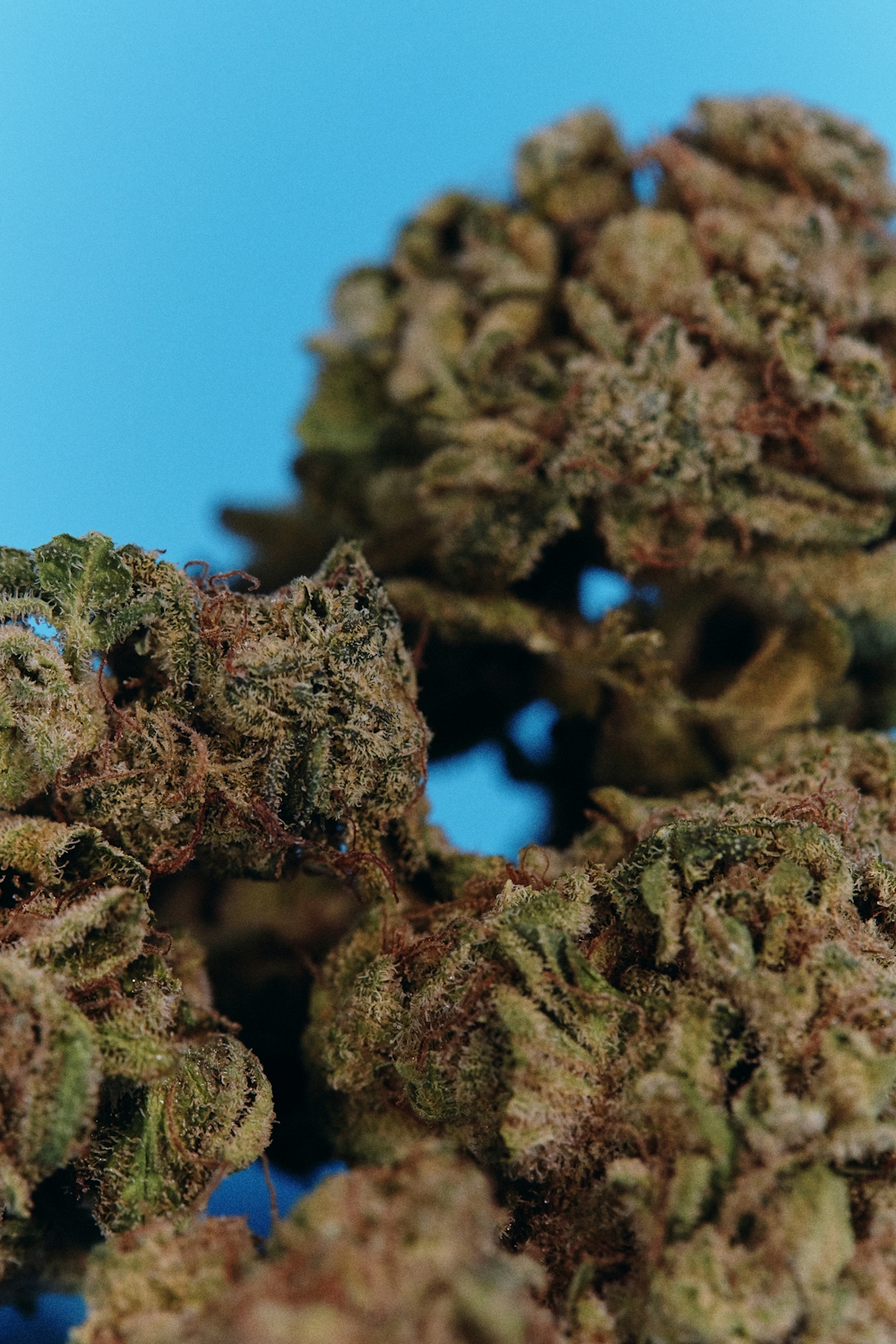 Solei Gather (Milled)