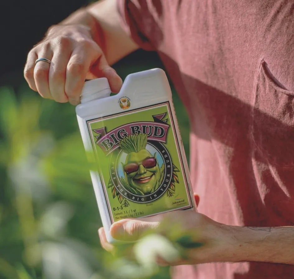 Best Fertilizer For Cannabis