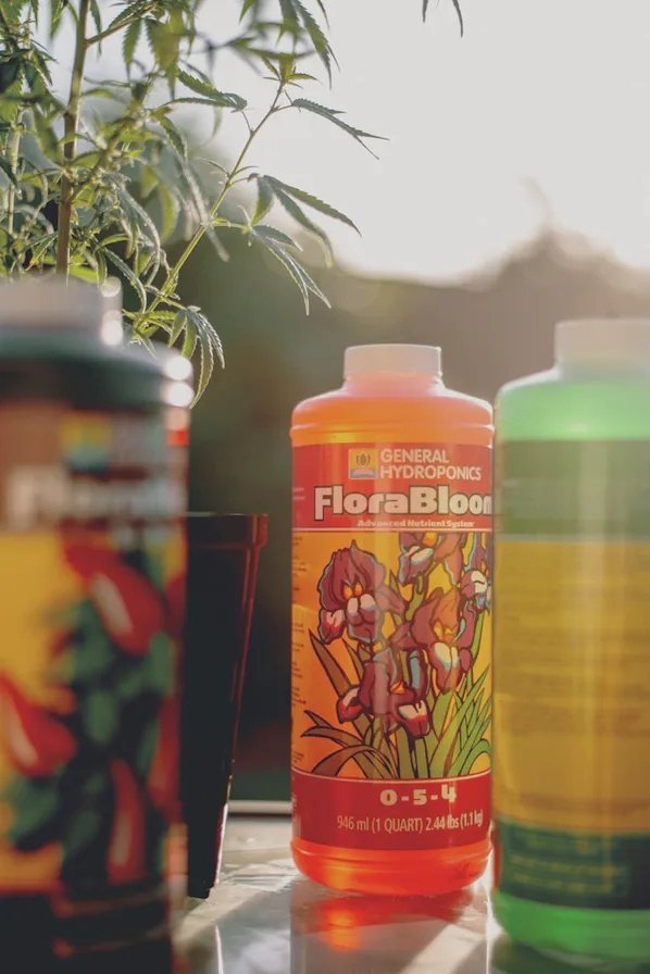 Best Fertilizer For Cannabis