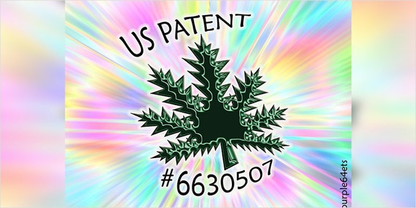 Patent-6630507-4