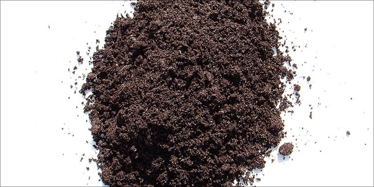 soil for growing marijuana