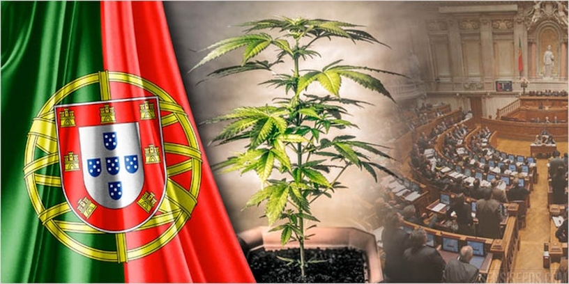 marijuana in Portugal