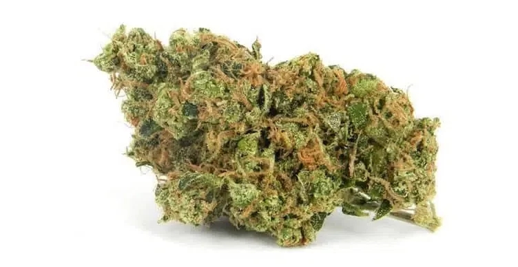 best weed strains for rosin
