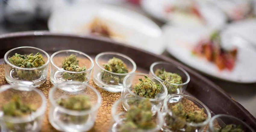 9 Best Stoner Games Of All Time