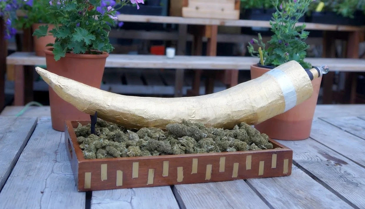 The Biggest Bud Ever Recorded & Other Cannabis World Records