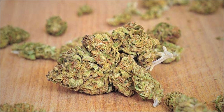The Differences Between Dry Bud VS Sticky Bud: Dry cannabis