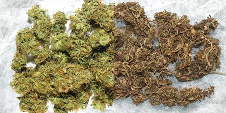 Comparing the two dry weed and sticky weed