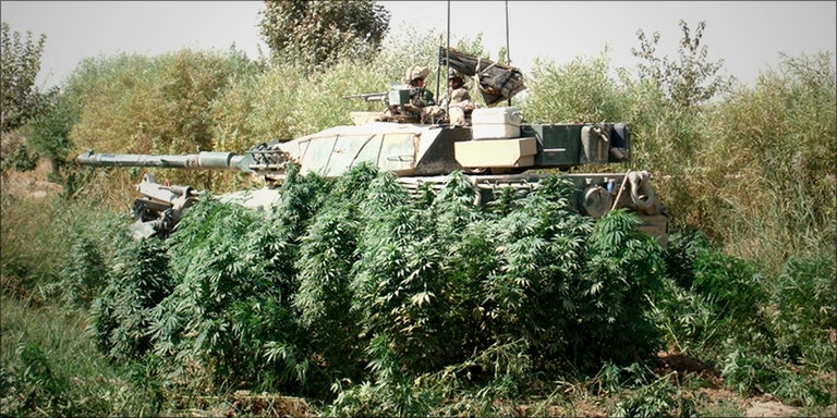 best weed Afganistan