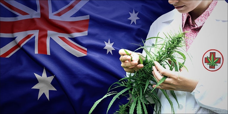 best weed Australia
