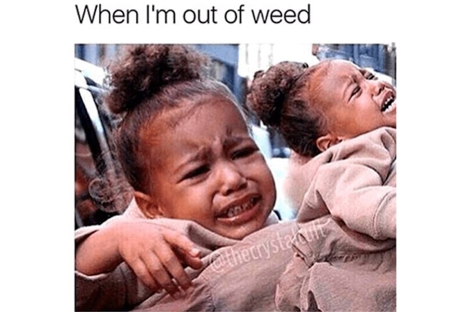 weed meme out of weed