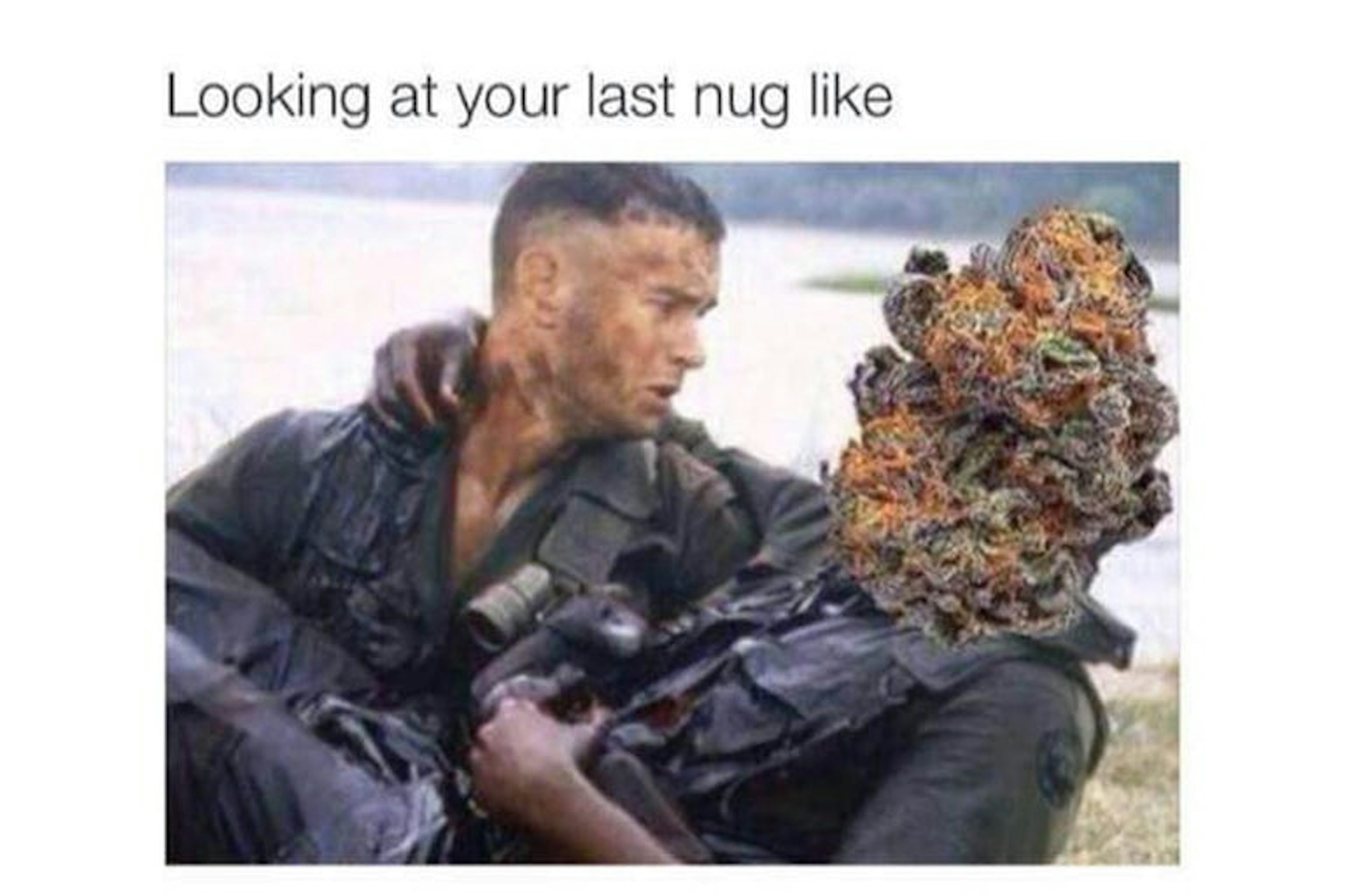 98 Funny Weed Memes For True Stoners | Herb