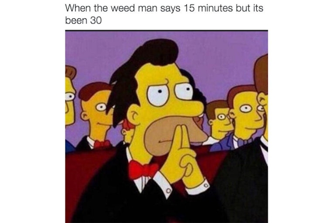 weed meme lenny