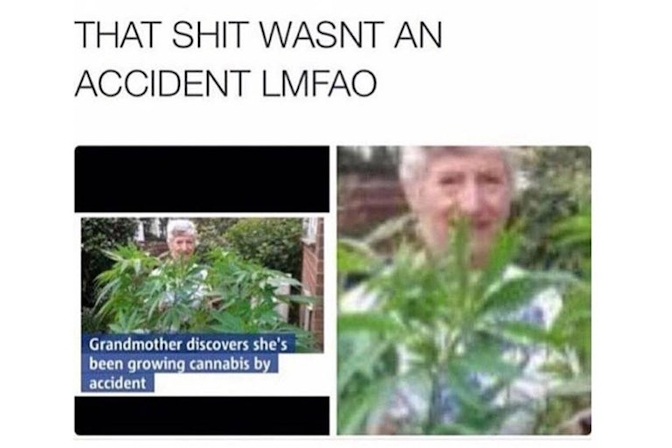 granny weed meme