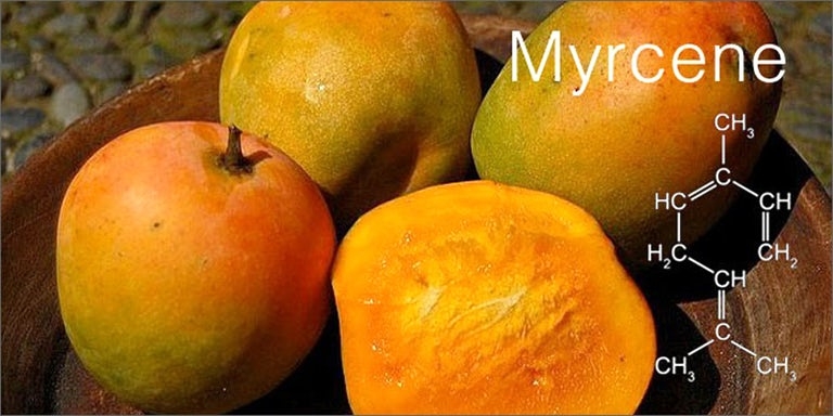 Try eating mangoes or other myrcene rich fruits to maximize your high