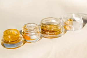 What Are Cannabis Concentrates: Uses, Types & More