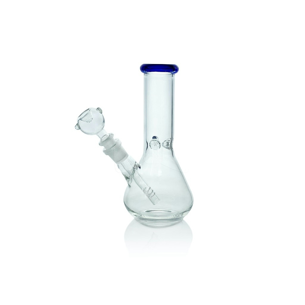 A Complete Guide Of The Best Bongs On The Market In 2021 | Herb