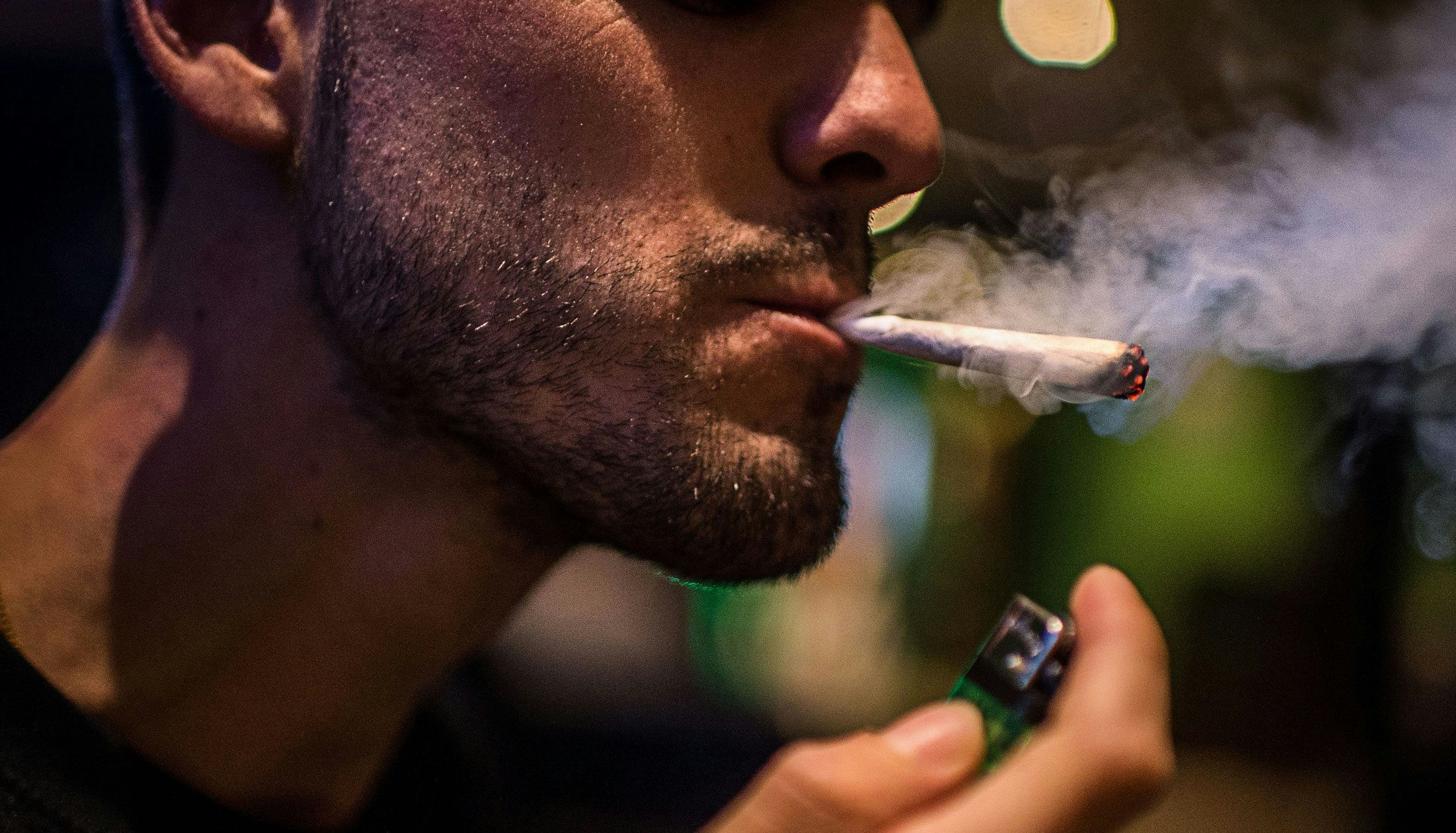 Black Weed Revealed: The Dark Weed Strains You Need to Try