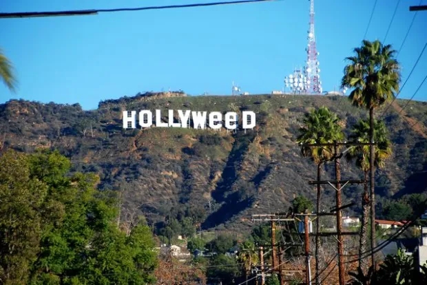 10 Places You Should Live If You Love Weed