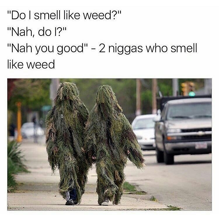 Top 98 Funny Weed Memes