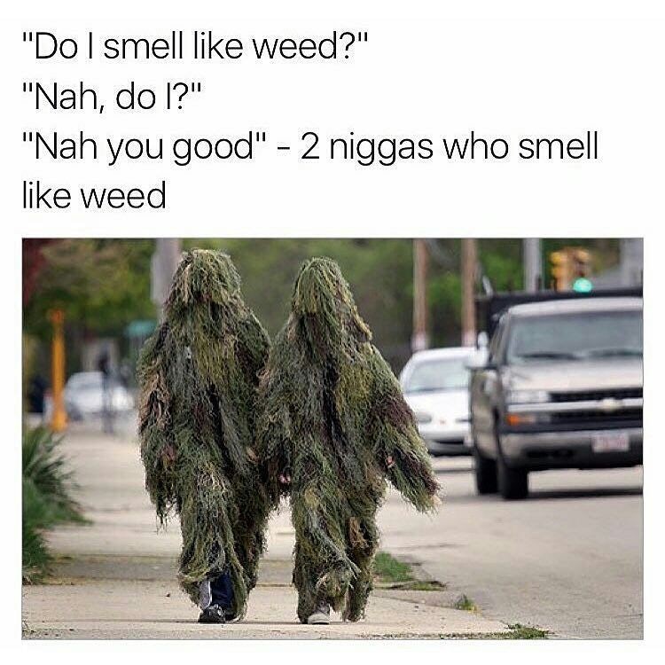 98 Funny Weed Memes For True Stoners Herb