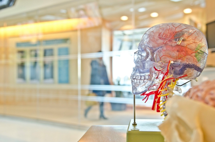 What is the Endocannabinoid System? Here’s Everything You Need to Know