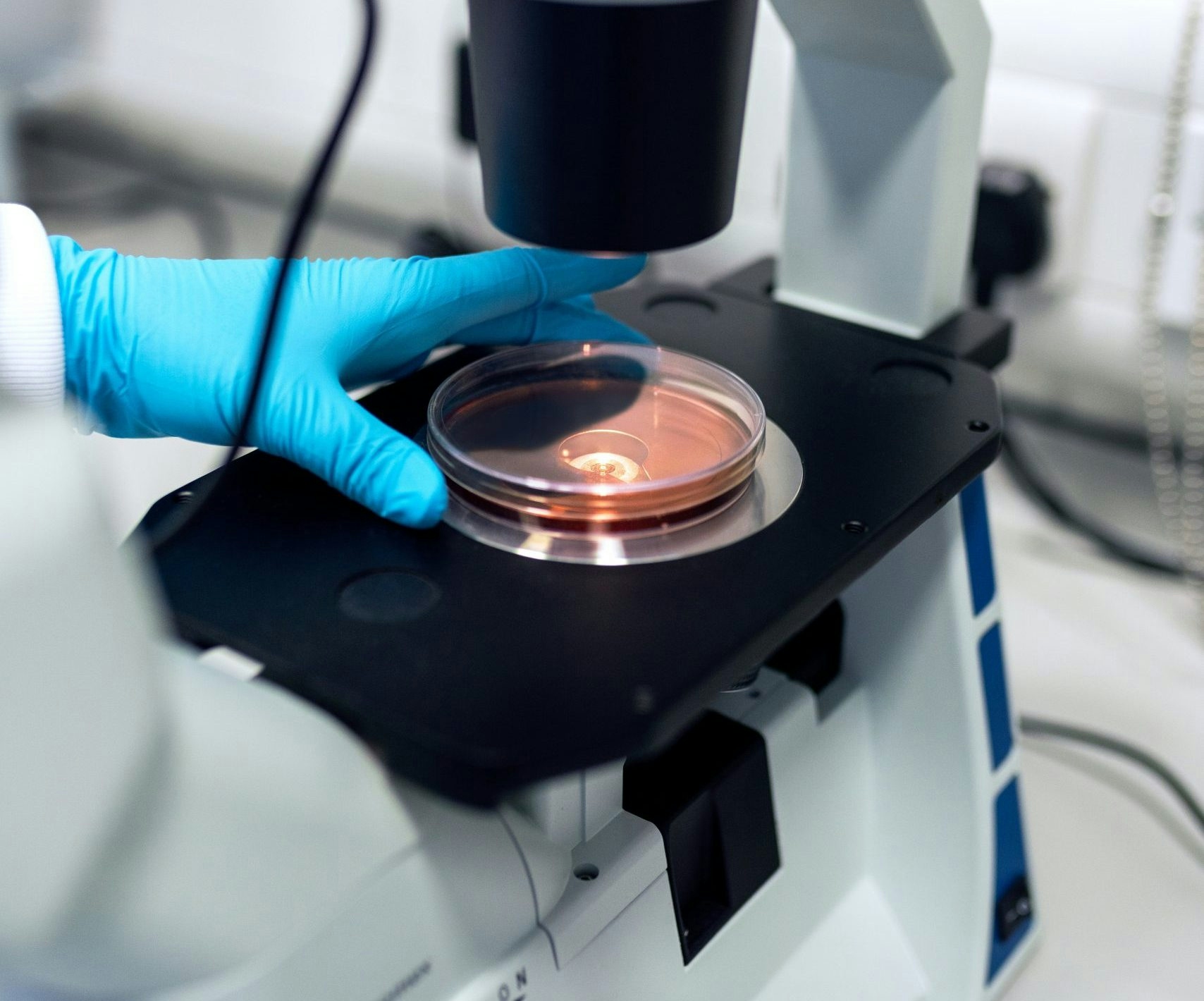 Ethanol Extraction Vs. CO2 Extraction: What Is The Best Way To Make Hemp Oil?