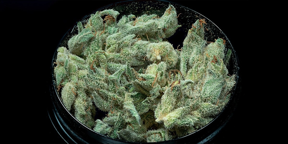 10 Strongest Hybrid Strains On Earth Right Now