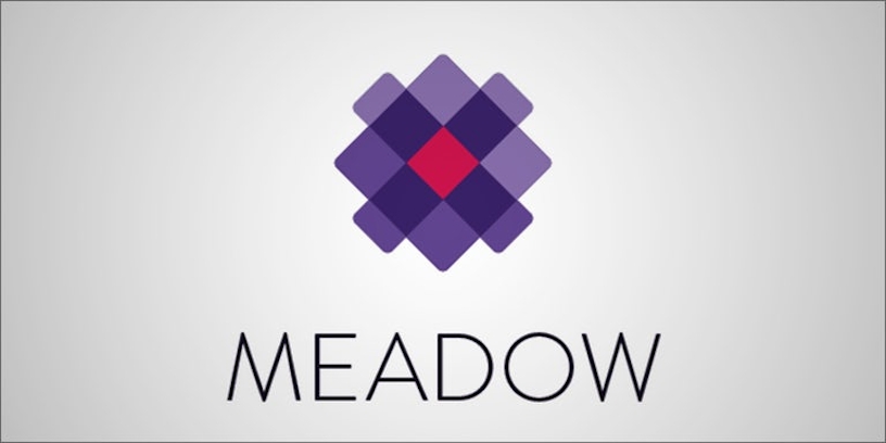 Meadow: Providing A Needed Service