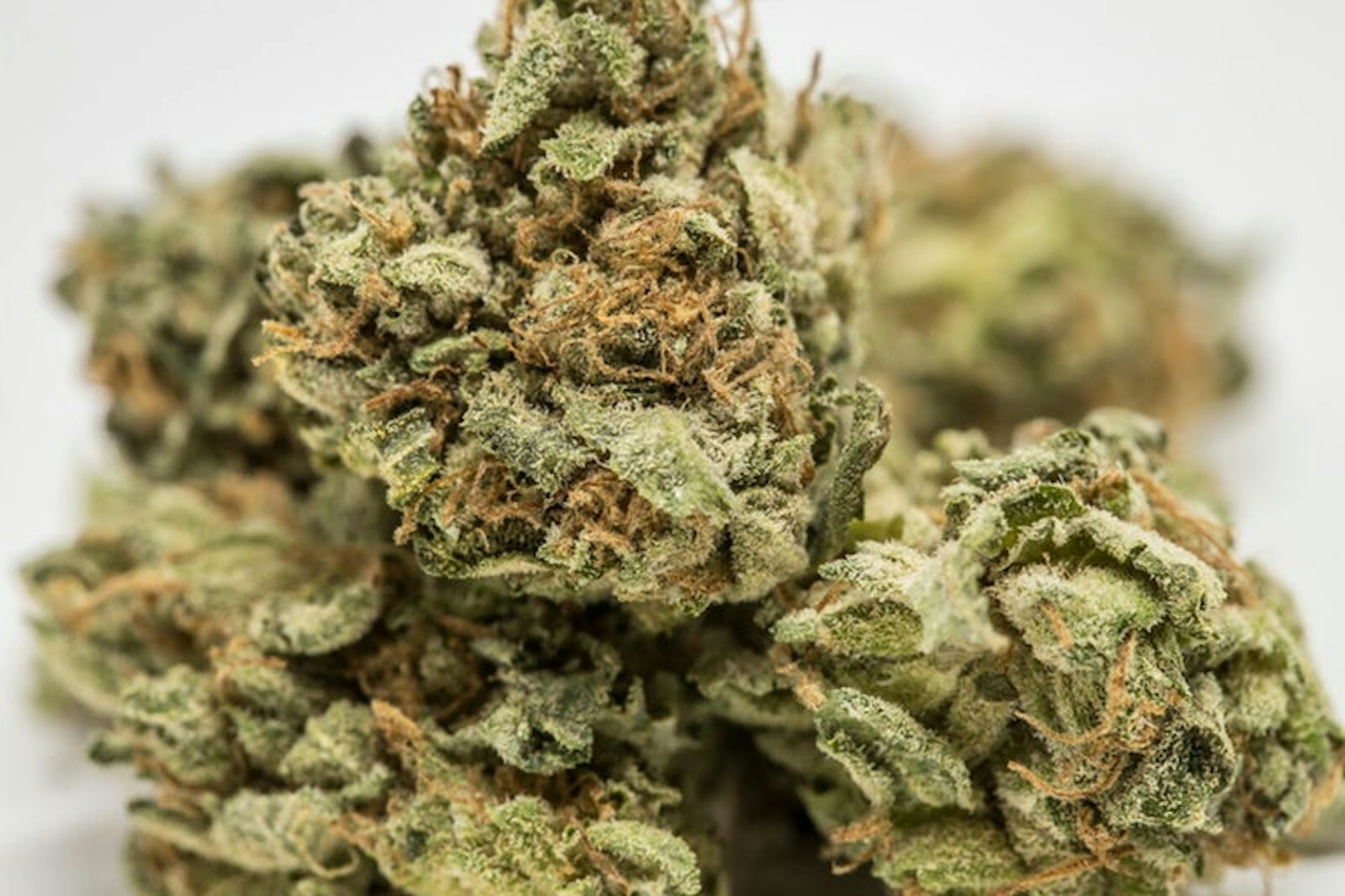 Five Best Strains for Male Arousal Herb