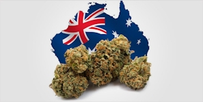 Green Scene: What $20 Weed Looks Like In Australia