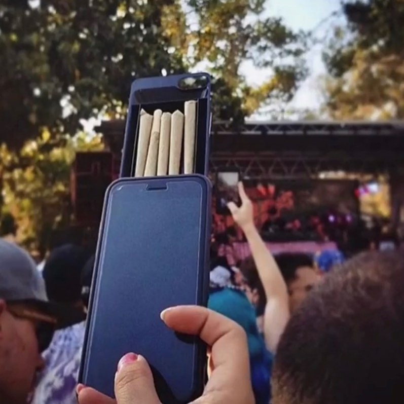 The 6 Best Things For Sneaking Weed Into A Music Festival