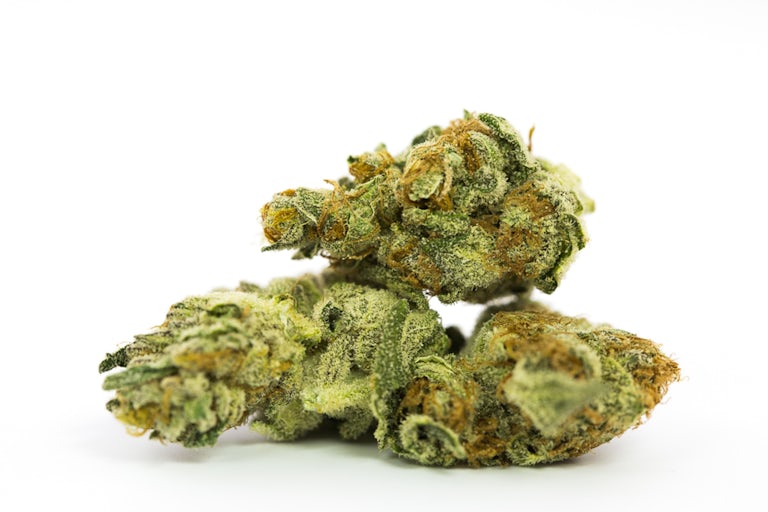 10 Strongest Hybrid Strains On Earth Right Now Herb 10 Strongest Hybrid Strains On Earth Right Now Herb