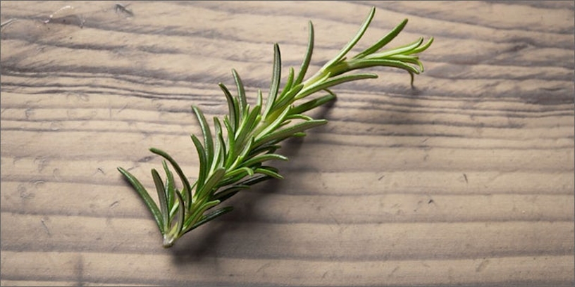 herbs to mix with cannabis: 3. Rosemary