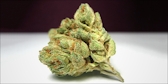 10 Most Popular Cannabis Strains Smoked On 420