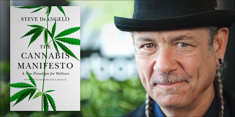 best cannabis books: 2. The Cannabis Manifesto: A New Paradigm for Wellness