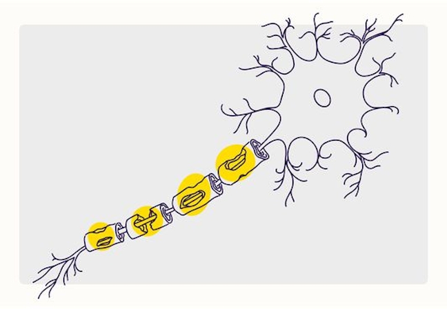5 Common Conditions You Didn’t Know Cannabis Can Treat