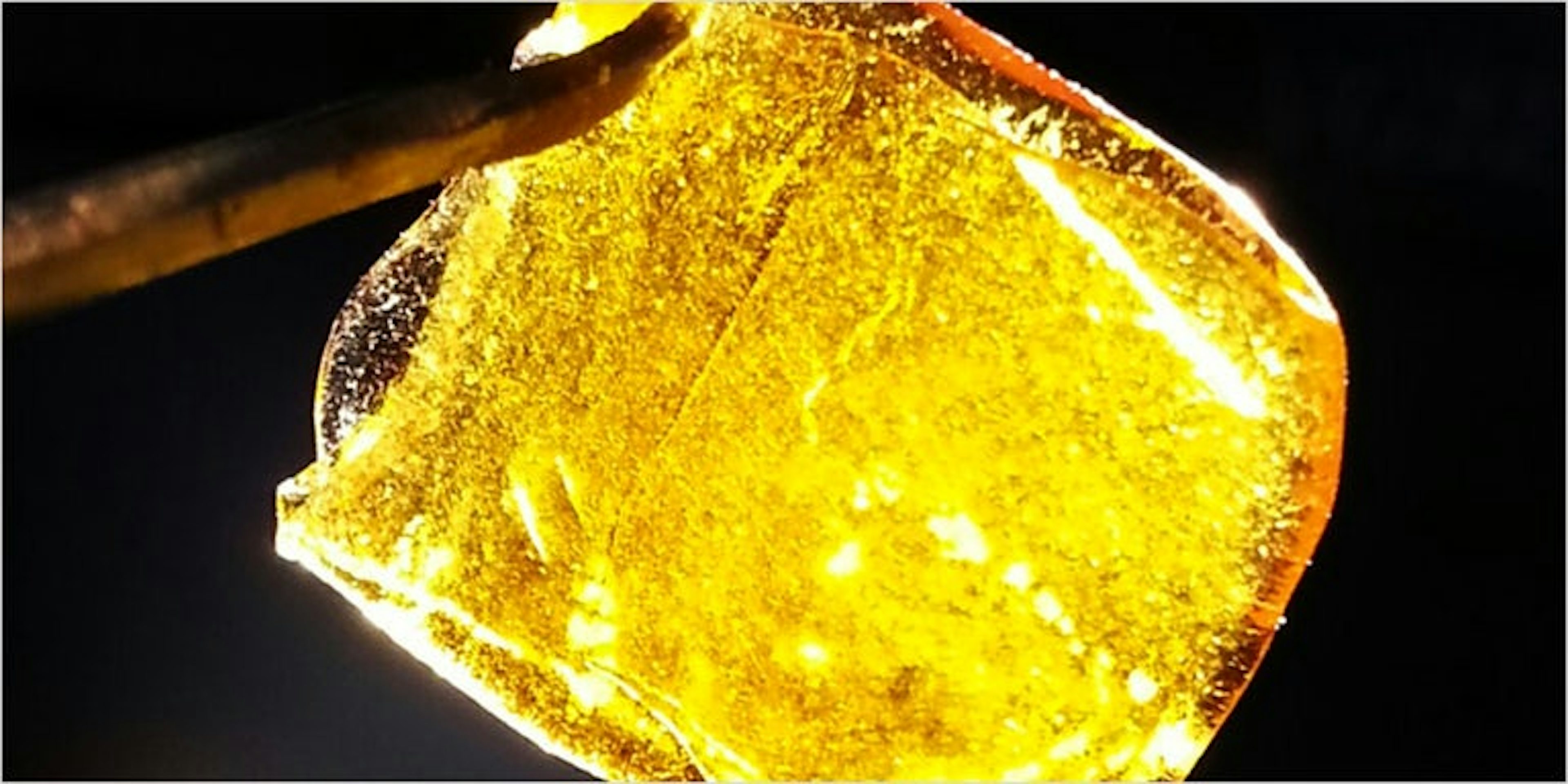 10 Best Concentrates To Get You Buzzing Herb