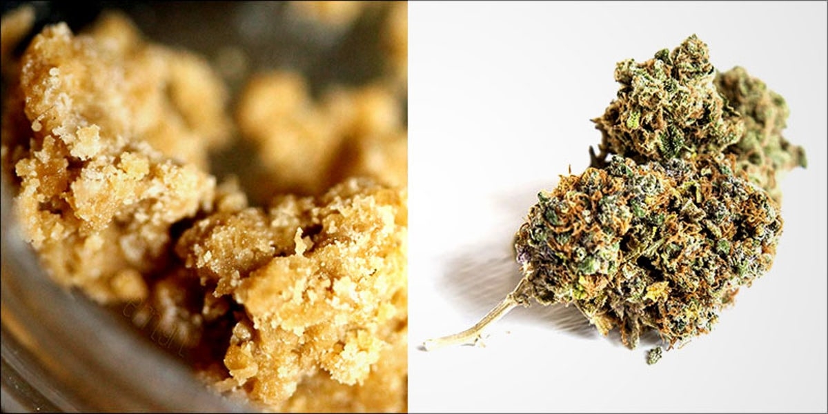 Concentrates vs Flower: Which Is Best For Medical Cannabis? | Herb