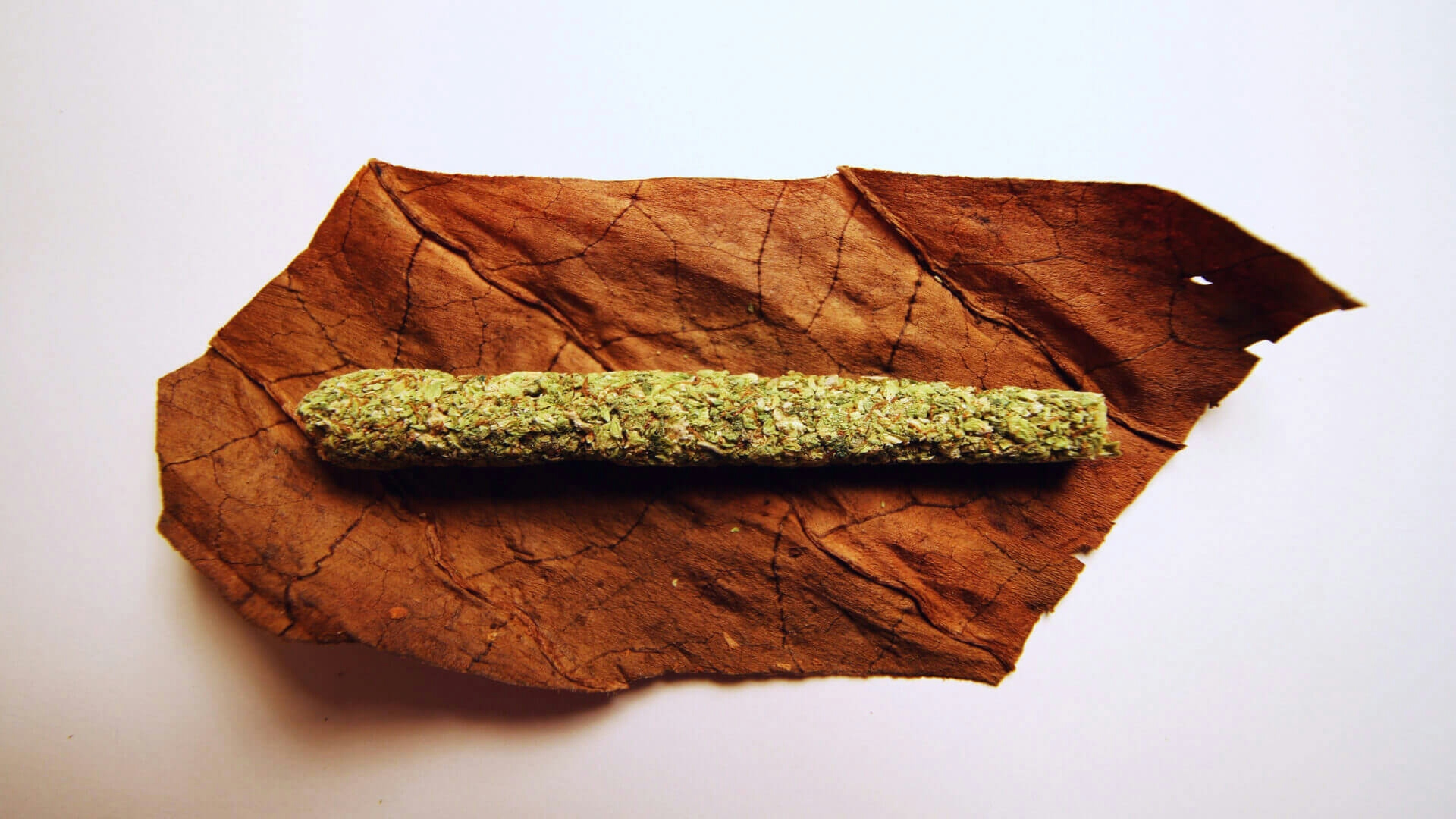 What Is A Cannagar & How To Roll A Cannagar The Right Way