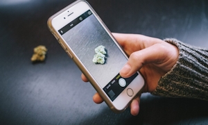 Weed Scale: How To Weigh Weed With Your Smartphone